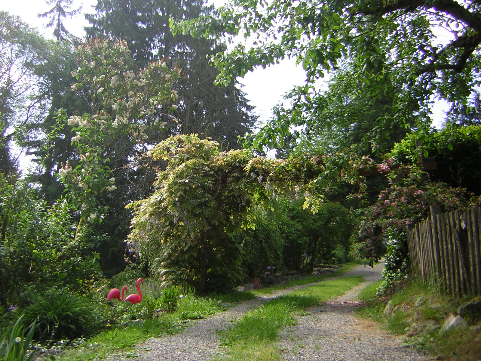 DSCN1762.jpg