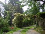 DSCN1762.jpg