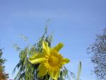 DSCN1236.jpg