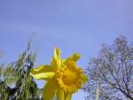 DSCN1237.jpg