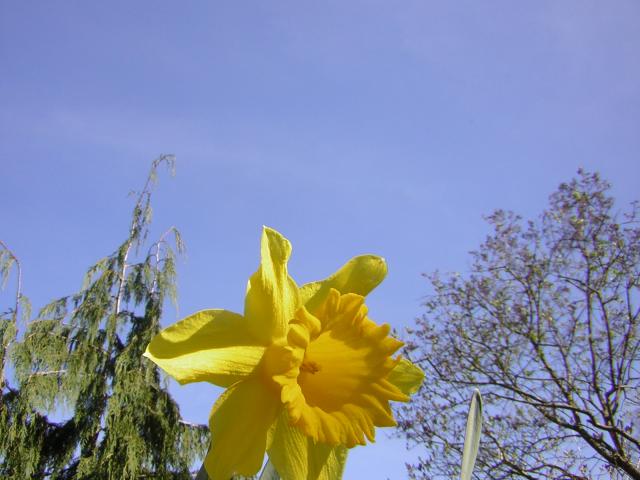 DSCN1237.jpg