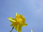 DSCN1238.jpg