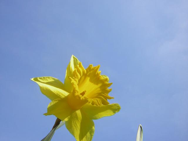 DSCN1238.jpg