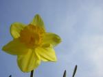 DSCN1239.jpg