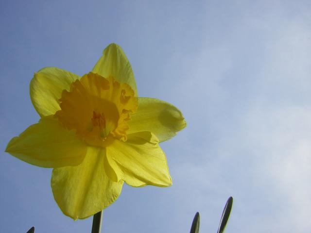 DSCN1239.jpg