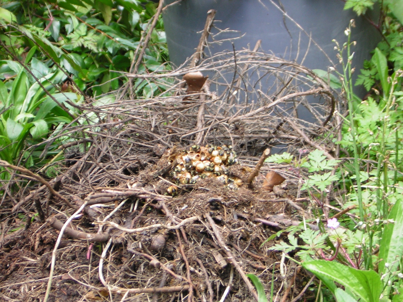 DSCN1815.jpg