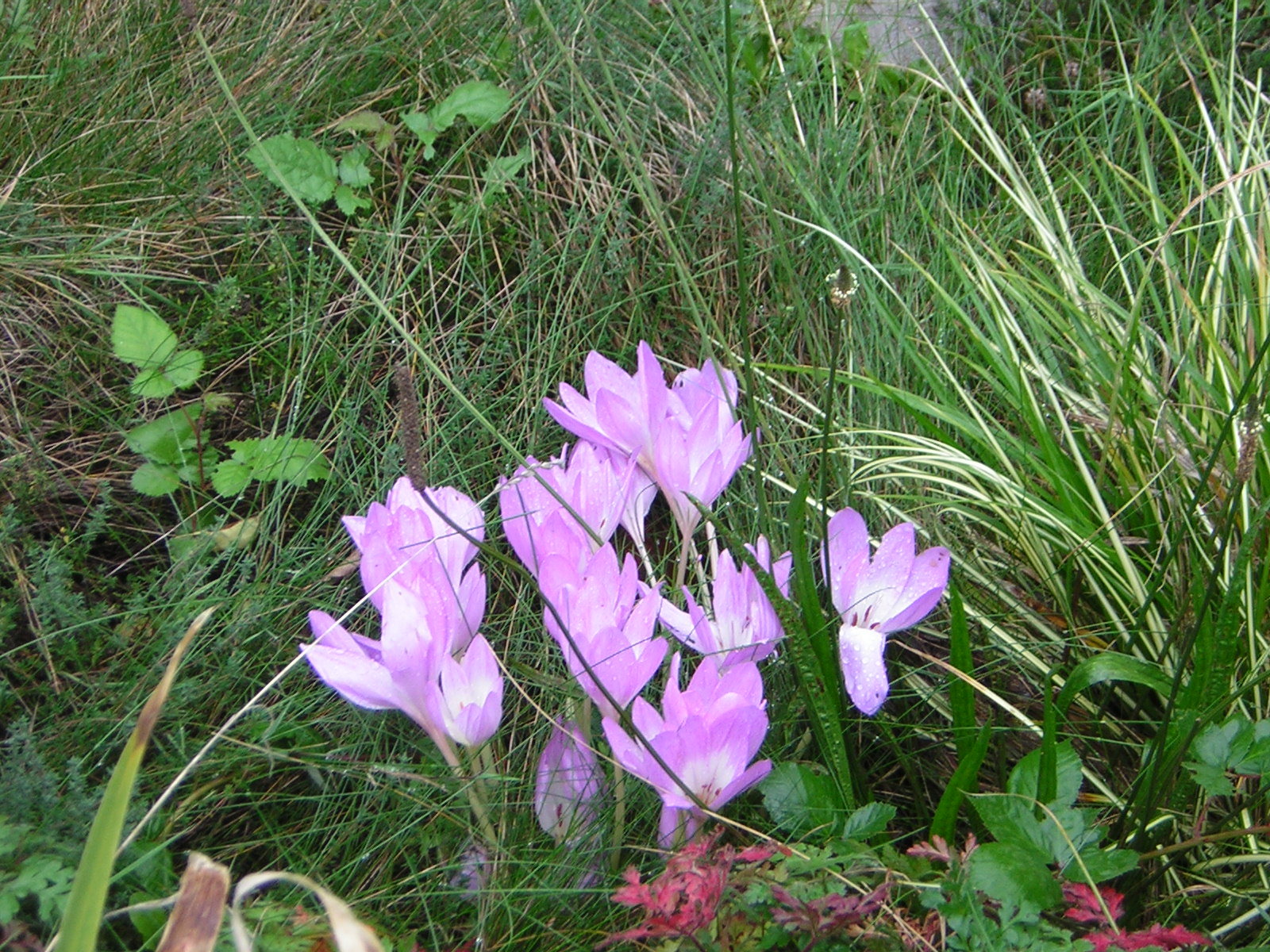 DSCN0347.jpg