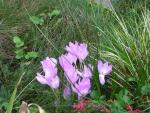 DSCN0347.jpg