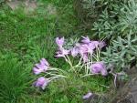 DSCN0350.jpg