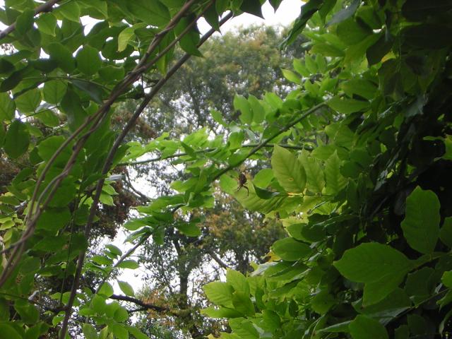 DSCN0352.jpg