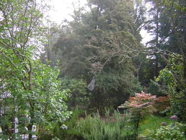 DSCN0354.jpg