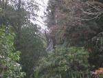 DSCN0356.jpg