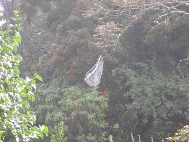 DSCN0357.jpg