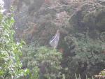 DSCN0358.jpg