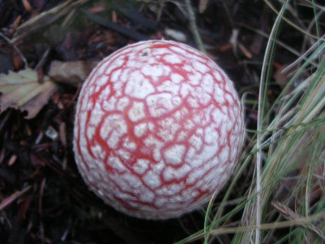dscn0560.jpg