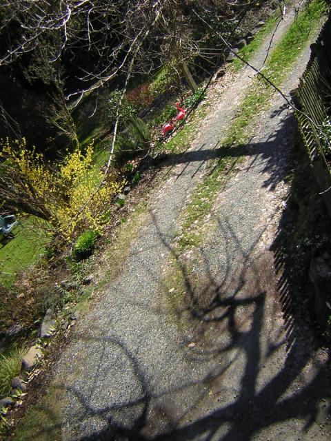 DSCN2999.jpg