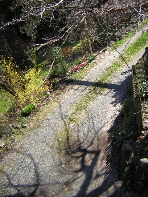 DSCN3000.jpg