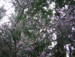 DSCN3001.jpg