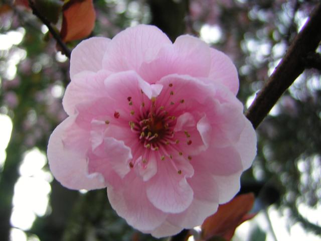 DSCN3005.jpg