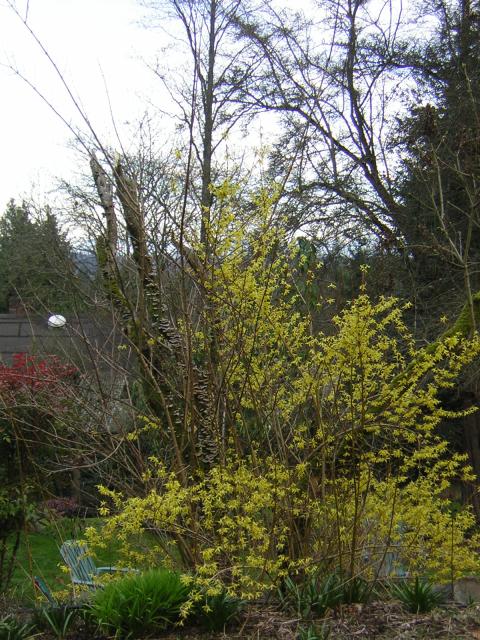 DSCN3007.jpg
