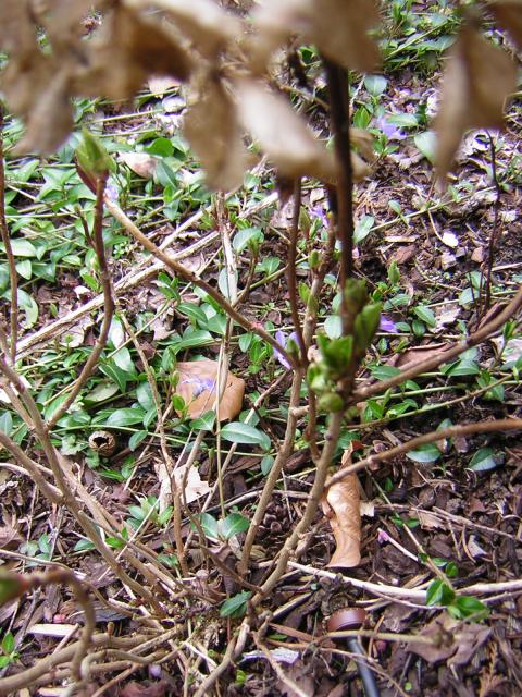 DSCN3010.jpg