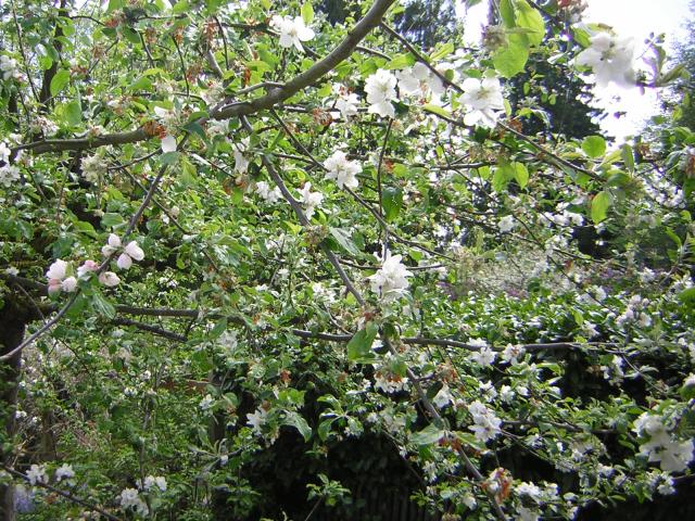 DSCN3049.jpg