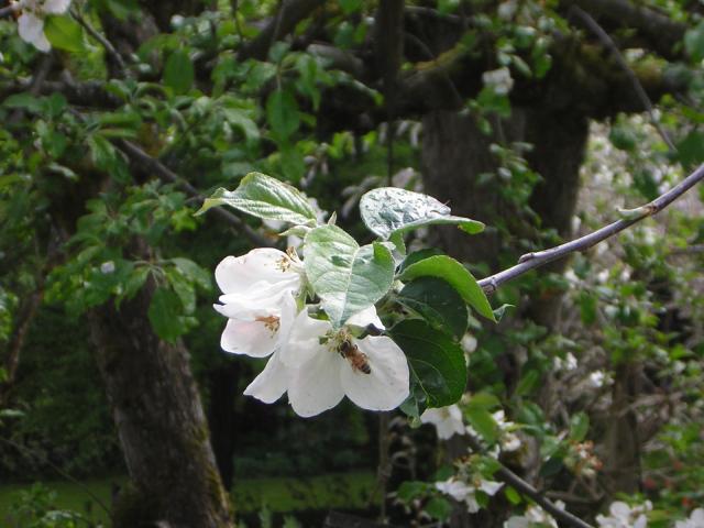 DSCN3050.jpg