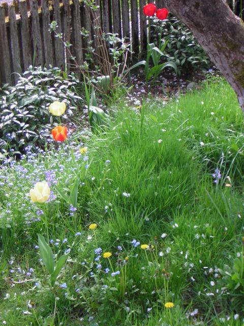 DSCN3051.jpg