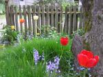 DSCN3052.jpg