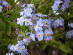 DSCN3053.jpg
