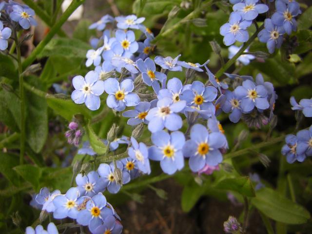DSCN3053.jpg