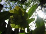 DSCN3055.jpg