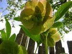 DSCN3056.jpg
