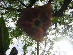 DSCN3057.jpg