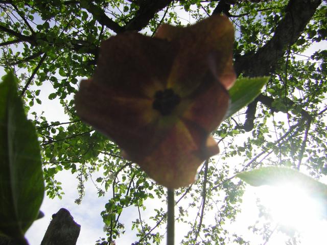 DSCN3057.jpg
