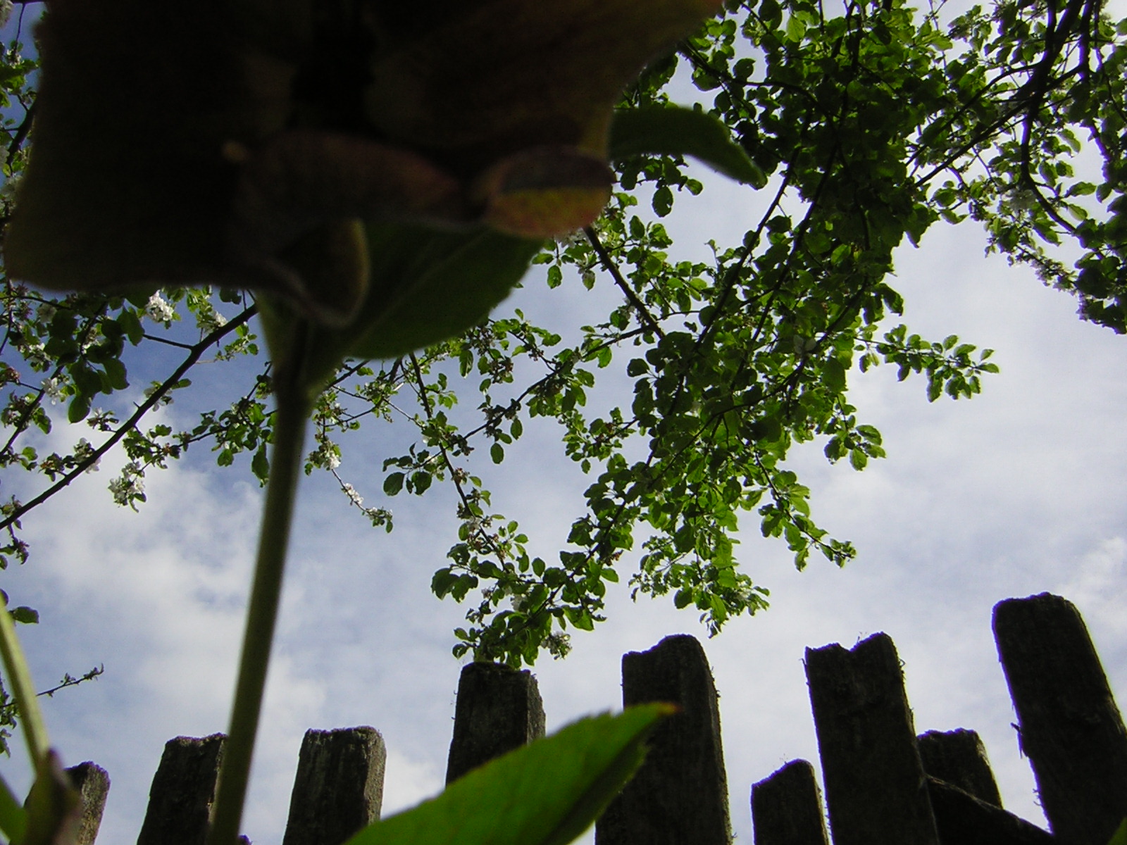 DSCN3058.jpg
