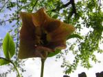DSCN3059.jpg