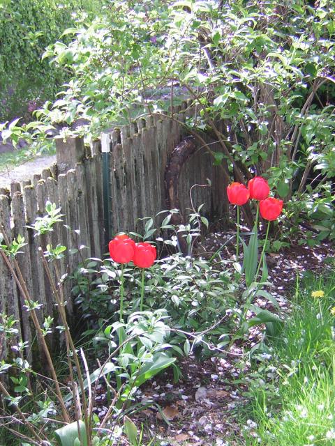 DSCN3060.jpg
