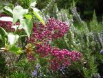 DSCN3063.jpg