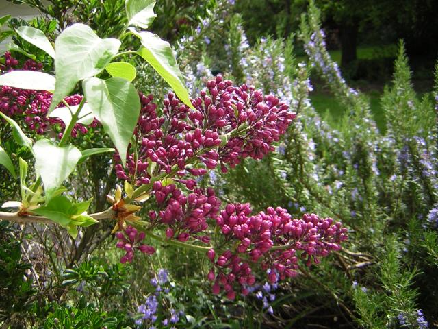 DSCN3063.jpg