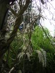 DSCN3064.jpg