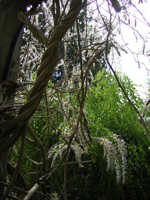 DSCN3064.jpg