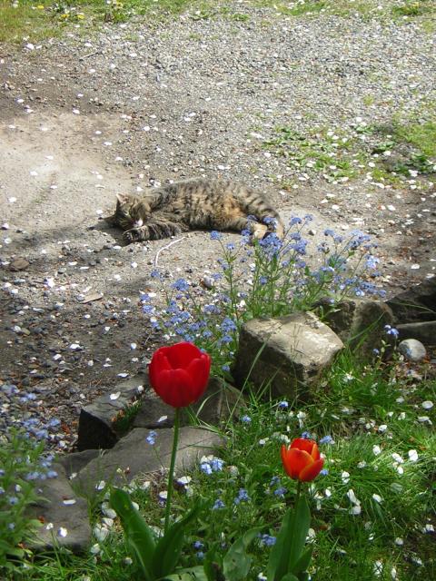 DSCN3069.jpg