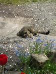DSCN3073.jpg