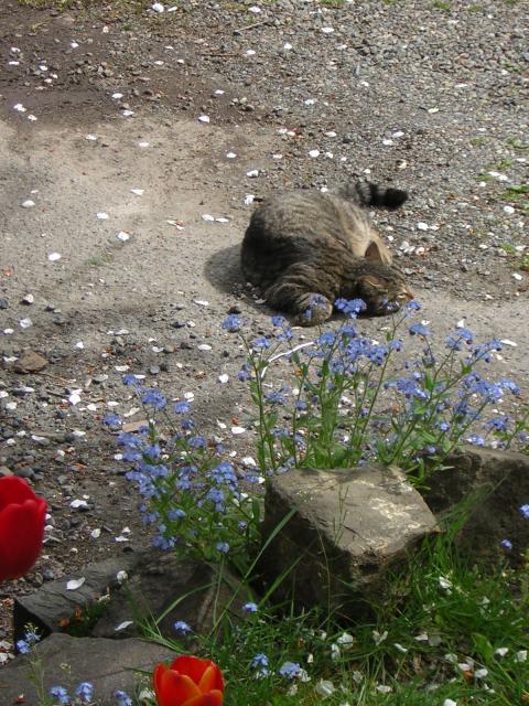 DSCN3074.jpg