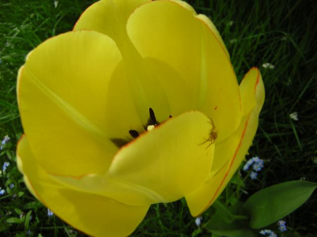 DSCN3076.jpg