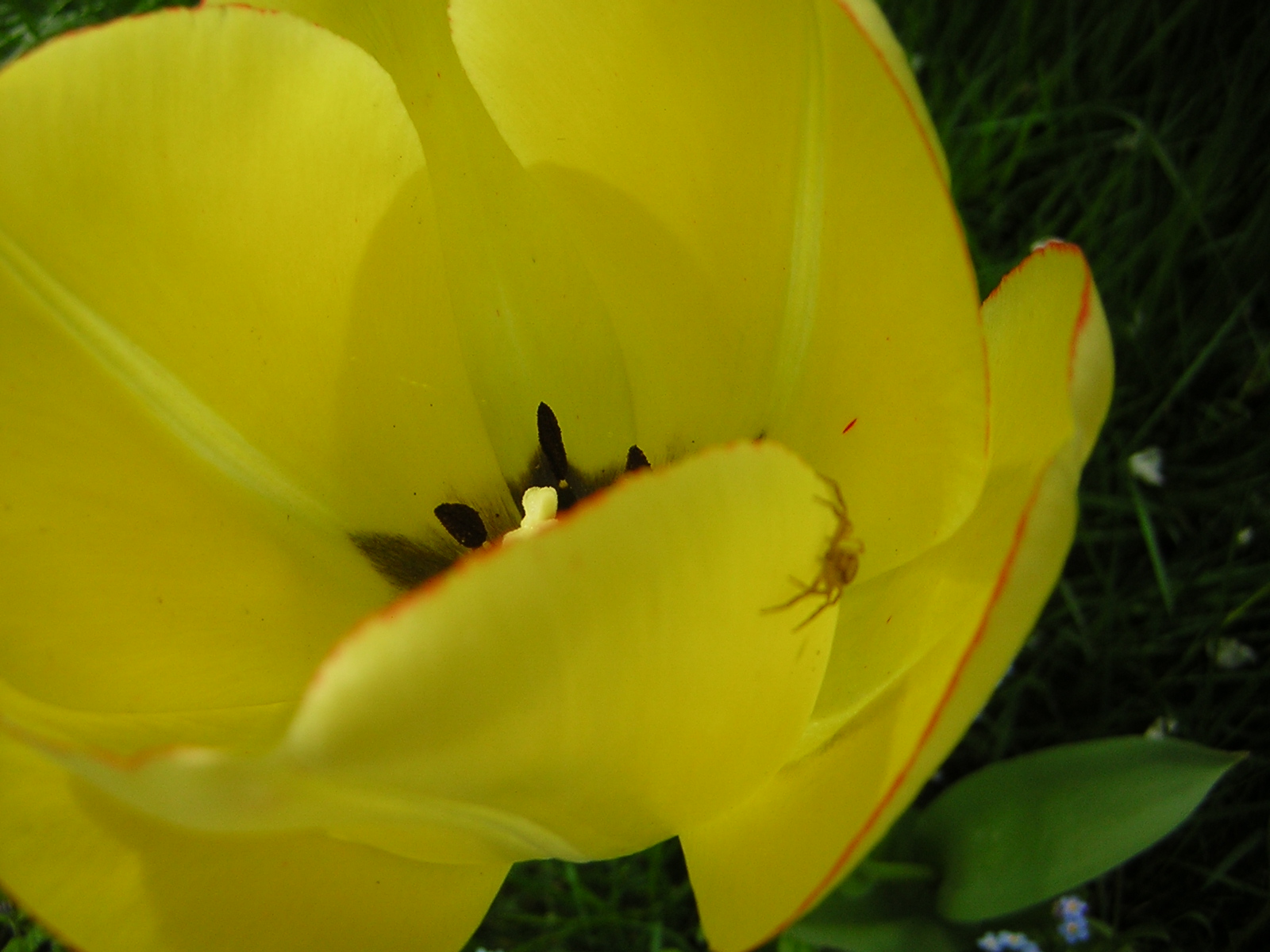 DSCN3077.jpg