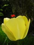 DSCN3078.jpg