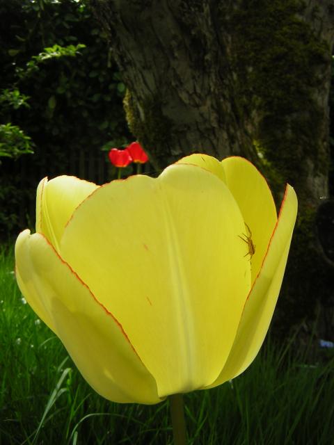 DSCN3078.jpg