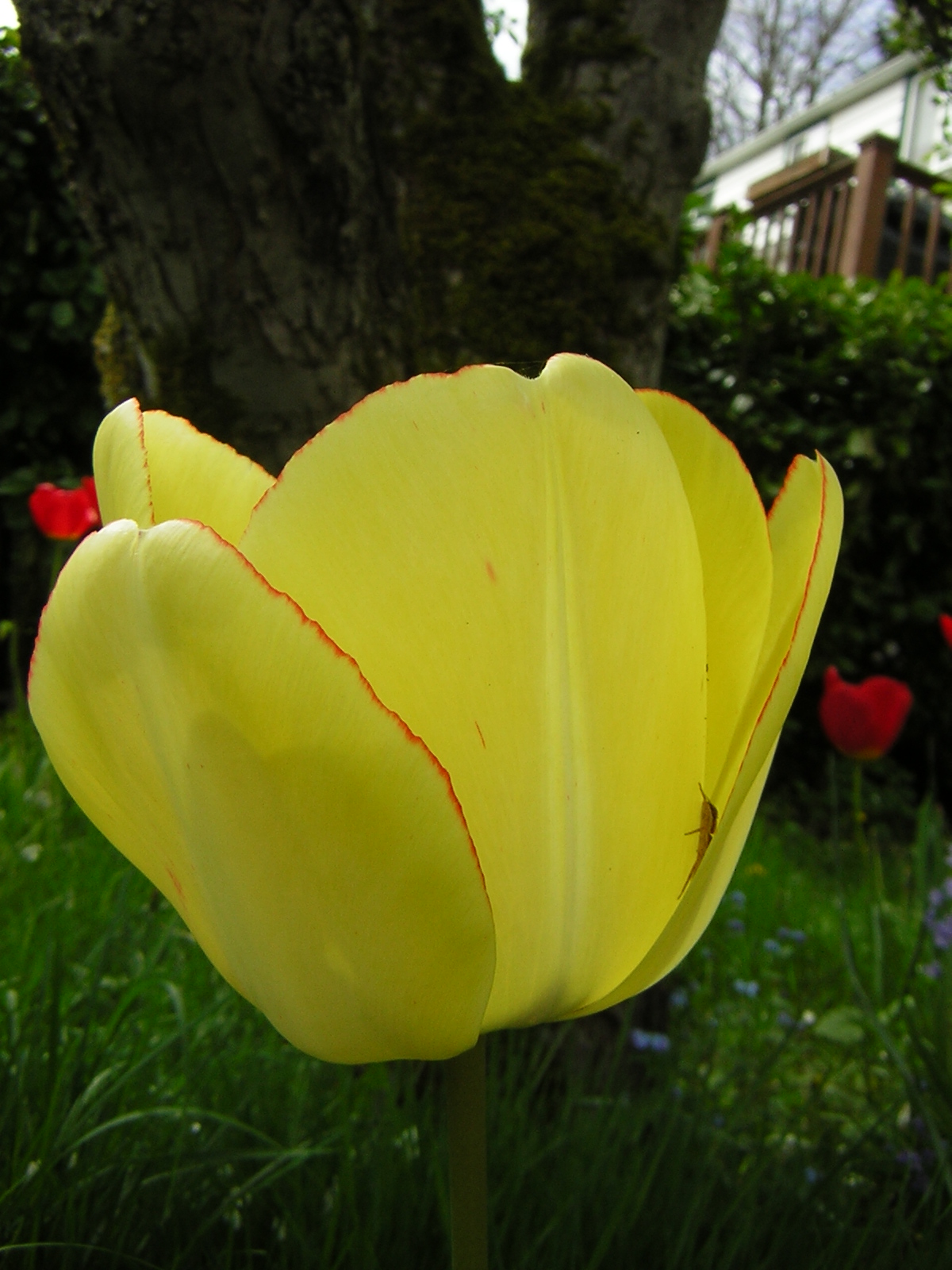 DSCN3079.jpg